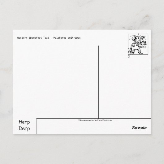 Carte postale Grenouille/crapaud (Dos)