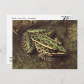 Carte postale Grenouille/crapaud (Devant / Derrière)