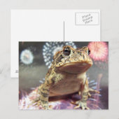 Carte Postale Grenouille crapaud debout contre un arrière - plan (Devant / Derrière)