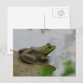 Carte Postale Grenouille dans la boue (Devant / Derrière)