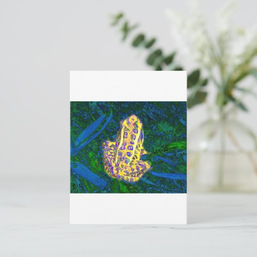 Carte Postale Grenouille dans l'herbe (Debout devant)