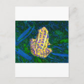 Carte Postale Grenouille dans l'herbe (Devant)