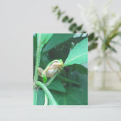 Carte Postale Grenouille d'arbre (Debout devant)