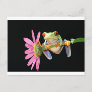 Carte Postale grenouille d'arbre observée par rouge
