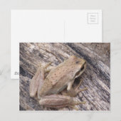 Carte Postale Grenouille des arbres (Devant / Derrière)