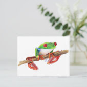Carte Postale Grenouille des arbres Treefrog jolie illustration  (Debout devant)