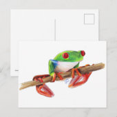 Carte Postale Grenouille des arbres Treefrog jolie illustration  (Devant / Derrière)
