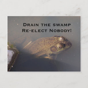 Carte Postale grenouille Drainer le marais Réélire Personne