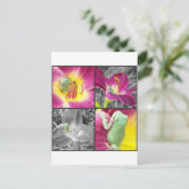 Carte Postale Grenouille en collage de fleurs (Debout devant)