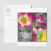 Carte Postale Grenouille en collage de fleurs (Devant / Derrière)