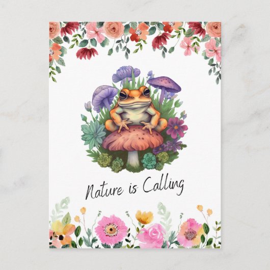 Carte Postale Grenouille et champignons (Devant)