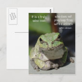 Carte Postale Grenouille et licorne (Devant / Derrière)