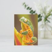 Carte Postale Grenouille | Grenouille de singe de Tiger Leg (Debout devant)