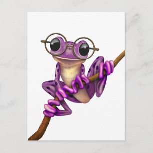 Carte Postale Grenouille mauve avec lunettes d'oeil sur blanc