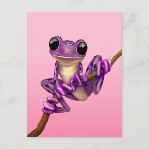 Carte Postale Grenouille mauve sur une branche sur rose