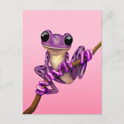 Carte Postale Grenouille mauve sur une branche sur rose (Devant)