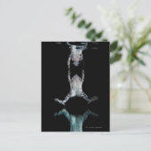 Carte Postale Grenouille nageuse (Debout devant)