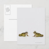 Carte Postale Grenouille royale et reine se regardant (Devant / Derrière)