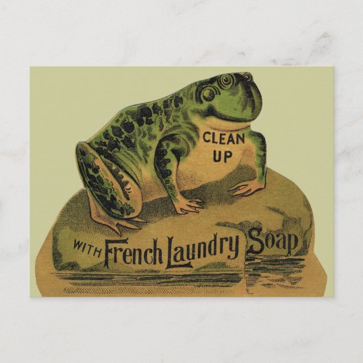 Carte Postale Grenouille savon de laverie française (Devant)