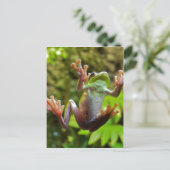 Carte Postale Grenouille sur verre (Debout devant)