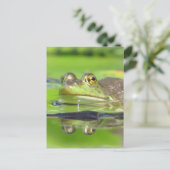 Carte postale Grenouille verte (Debout devant)