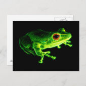 Carte Postale Grenouille verte (Devant / Derrière)