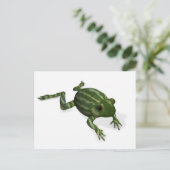 Carte Postale Grenouille verte (Debout devant)