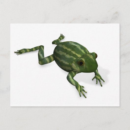 Carte Postale Grenouille verte (Devant)