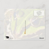 Carte Postale Grenouille verte (Dos)