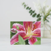 Carte Postale Grenouille verte minuscule sur Stargazer Lily (Debout devant)