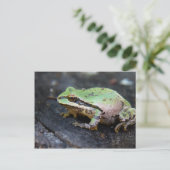 Carte Postale Grenouille verte sur une souche d'arbre (Debout devant)