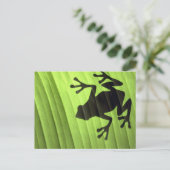 Carte Postale Grenouilles (Debout devant)