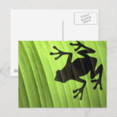 Carte Postale Grenouilles (Devant / Derrière)