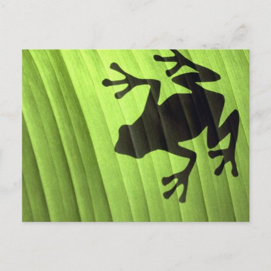 Carte Postale Grenouilles (Devant)