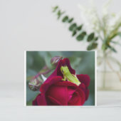 Carte Postale Grenouilles à arbre vert et roses rouges (Debout devant)