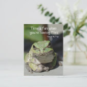 Carte Postale Grenouilles et mouches (Debout devant)