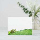 Carte Postale Grenouilles vertes en congé (Debout devant)