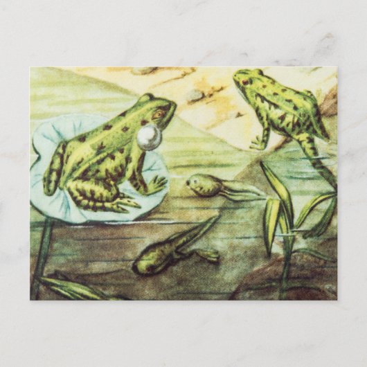 Carte Postale Grenouilles vertes, illustration animale (Devant)