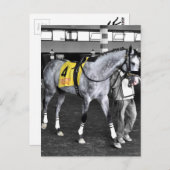 Carte Postale Grey by You (Devant / Derrière)