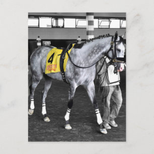 Carte Postale Grey by You