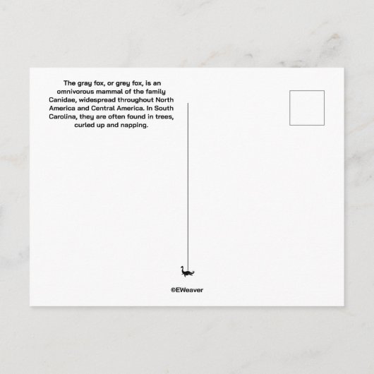 Carte postale Grey Fox (Dos)