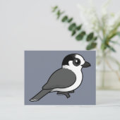 Carte Postale Grey Jay (Debout devant)