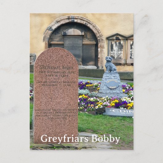 Carte Postale Greyfriars Bobby, Édimbourg (Devant)