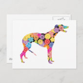 Carte Postale Greyhound (Devant / Derrière)