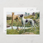 Carte Postale Greyhound (Devant / Derrière)