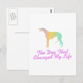 Carte Postale Greyhound (Devant / Derrière)