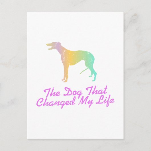 Carte Postale Greyhound (Devant)
