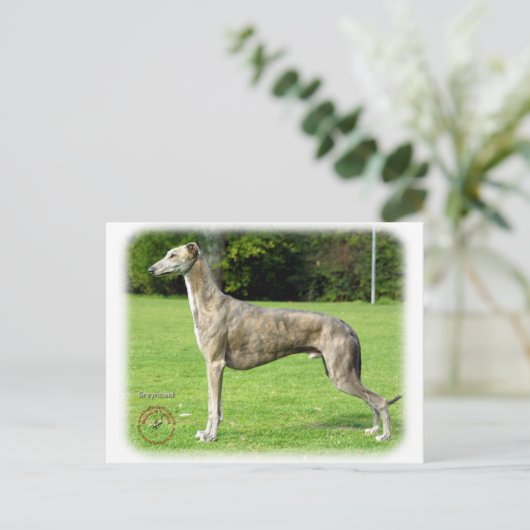 Carte Postale Greyhound 9J007D-14 (Debout devant)