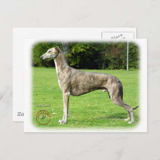 Carte Postale Greyhound 9J007D-14 (Devant / Derrière)