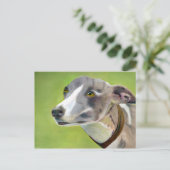 Carte postale Greyhound (a404) (Debout devant)